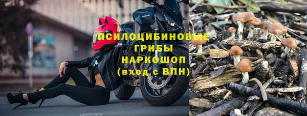 apvp Алексеевка