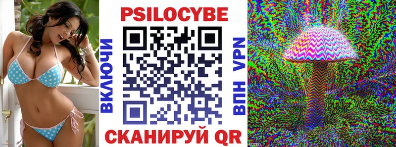 Галлюциногенные грибы Psilocybe  ОМГ ОМГ как войти  Сортавала 